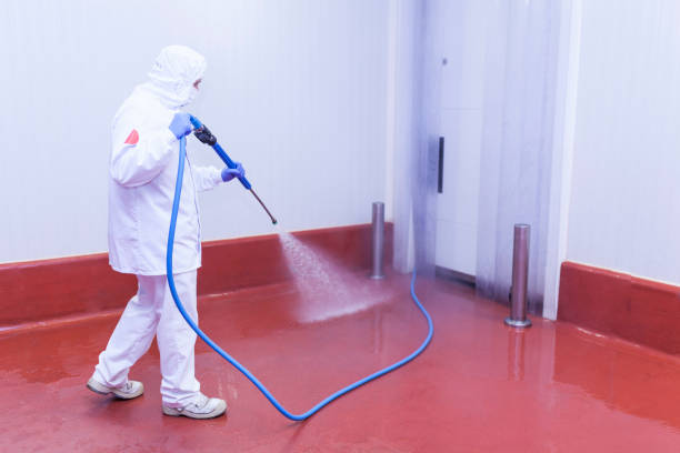 Best Restaurant Pressure Washing  in Flagtown, NJ