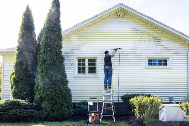 Best Graffiti Removal  in Flagtown, NJ